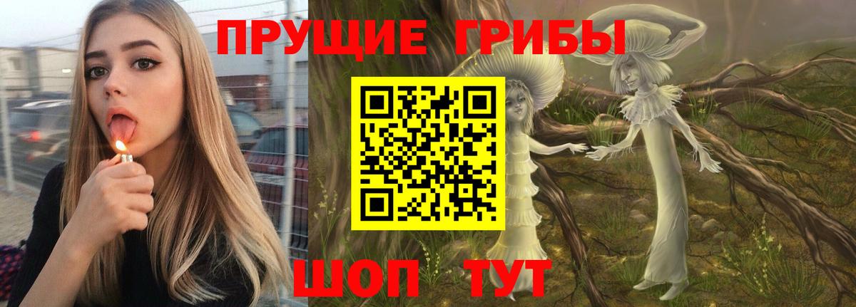 Псков  Галлюциногенные грибы MAGIC MUSHROOMS  Псилоцибиновые грибы Magic Shrooms  Вход с VPN 