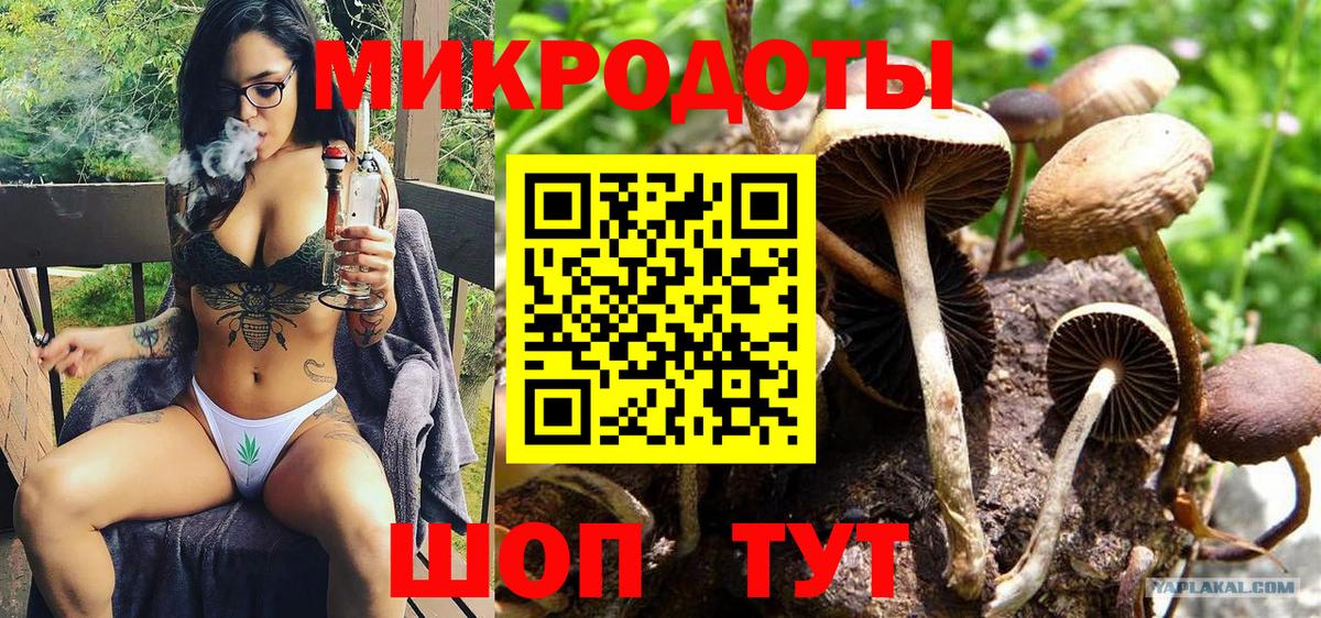 Псилоцибиновые грибы ЛСД Псков